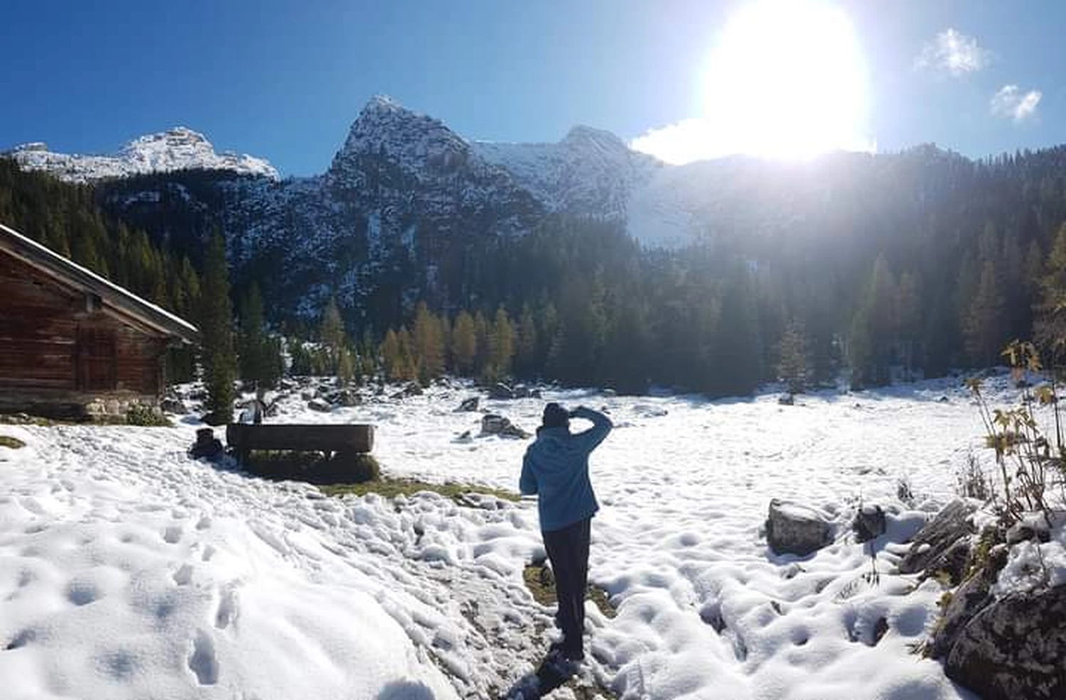 Naturcoach - Coaching - ein Schneefall