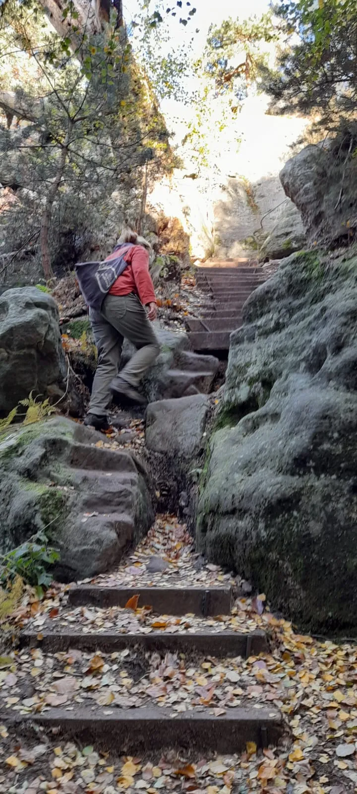 Naturcoach - Coaching - Mann bewegt sich auf dem Berg hinauf