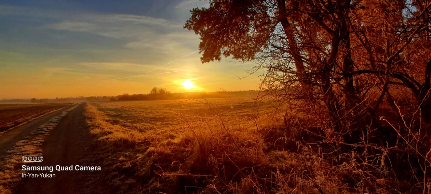 Naturcoach - Coaching - eine schöne Aussicht