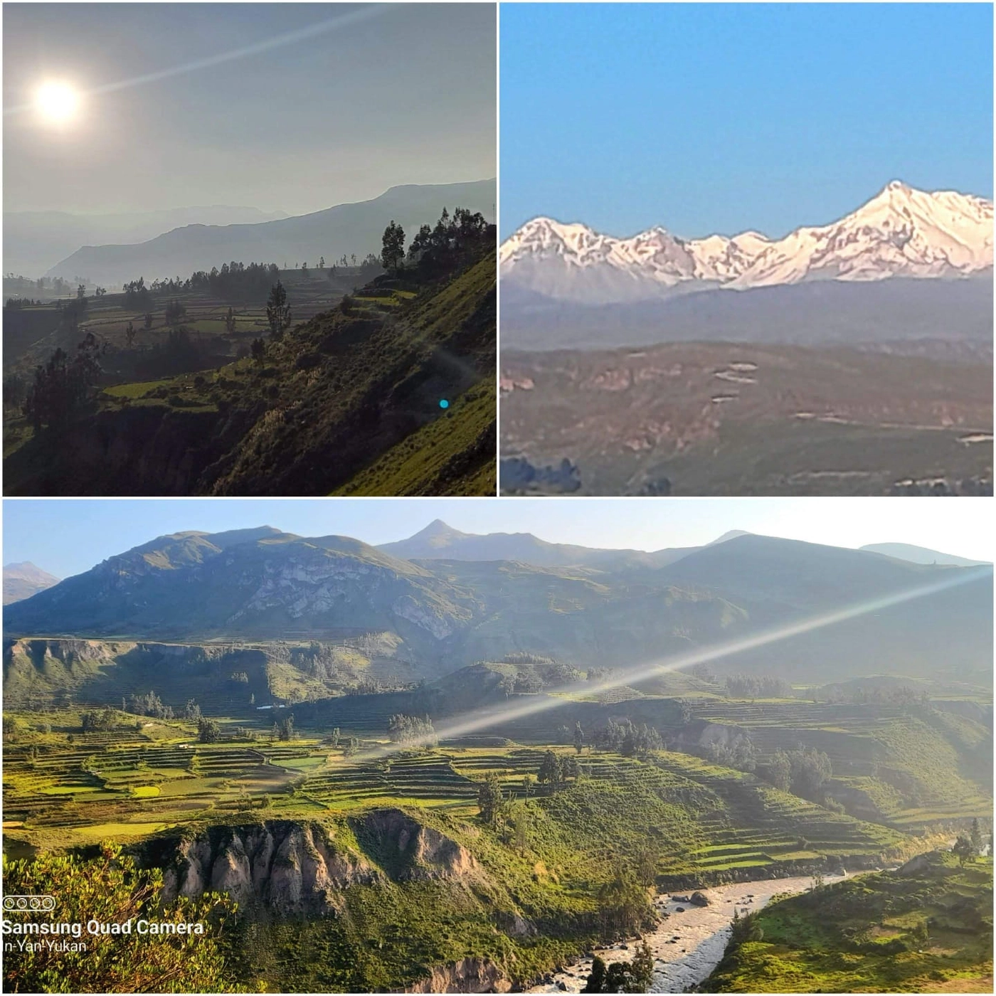 Naturcoach - Coaching - eine schöne Aussicht